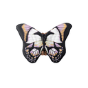 Vlindervleugels Zwart