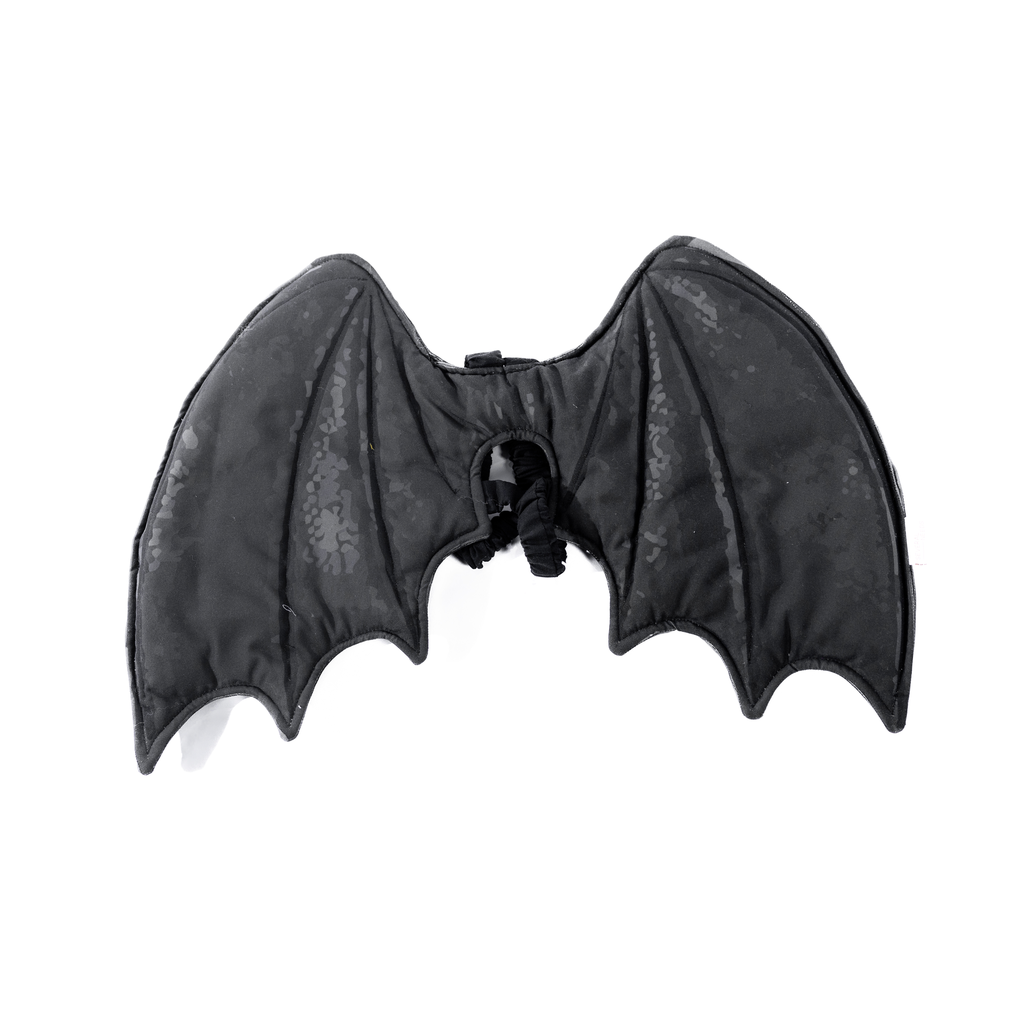 Drakenvleugels Zwart