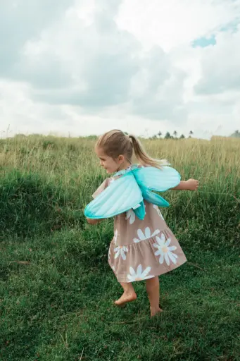 Feeënvleugels Blauw - Several Needs  